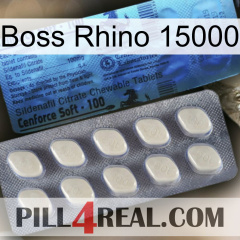 Boss Rhino 15000 34